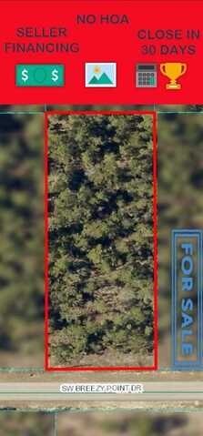 00 Breezy Point Drive, Dunnellon, FL 34431