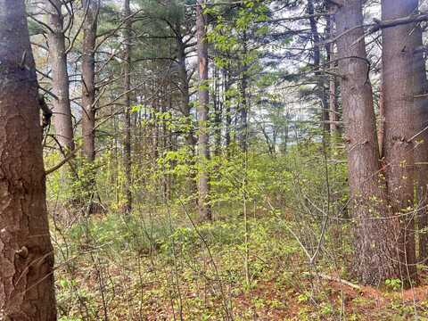 0 LaFlure Lane, Keeseville, NY 12944