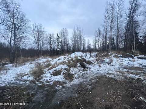 495 S Harriette Street, Wasilla, AK 99654