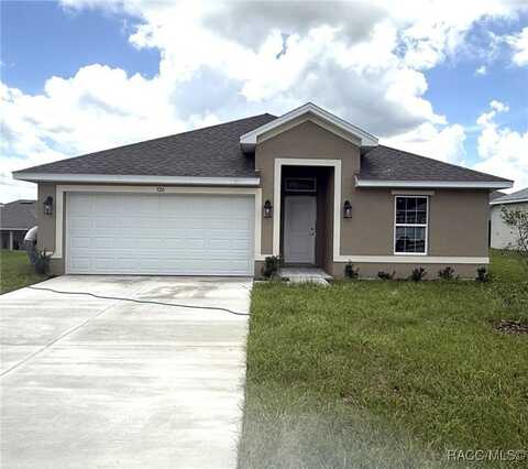 720 W Hallam Drive, Citrus Springs, FL 34434