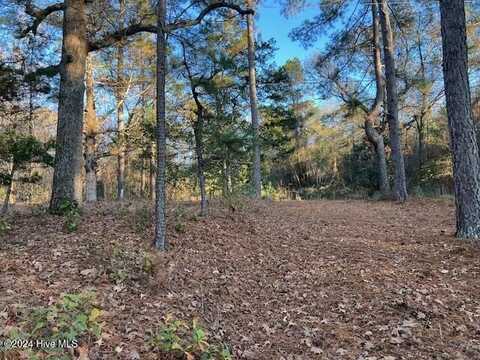 15181 Elmore Road, Laurinburg, NC 28352