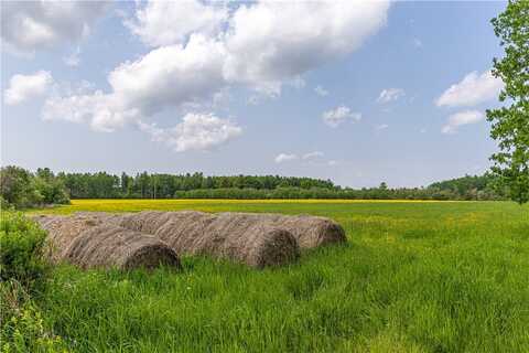 60 Acres Thatcher Road, Glen Flora, WI 54526