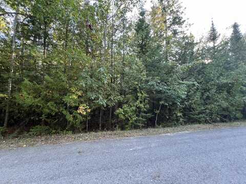 Lot 25 Beach Road, Rogers City, MI 49779