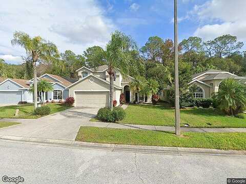 Firewheel, WESLEY CHAPEL, FL 33543