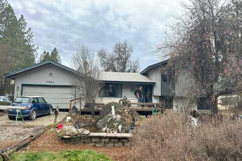 Cottonwood, CHATTAROY, WA 99003