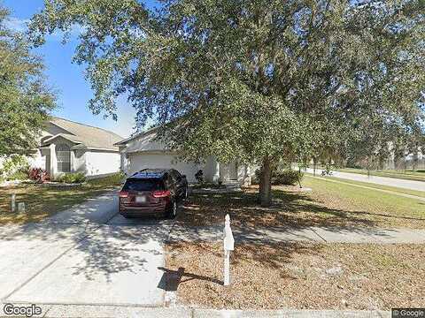 Open Pasture, WESLEY CHAPEL, FL 33545