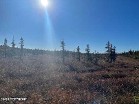 67280 St. John Road, Ninilchik, AK 99556