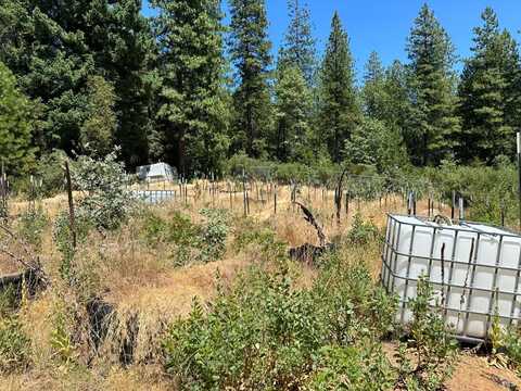 26513 Bear Creek Road, Upper Lake, CA 95485