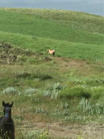 6707 SE Moser Dome Rd Road SE, Laurel, MT 59044