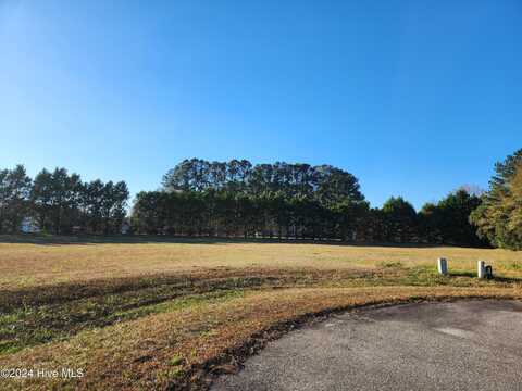 Lot #1 Misty Lane, Whiteville, NC 28472