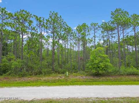 Lot 414 Bridges Road, Boiling Spring Lakes, NC 28461