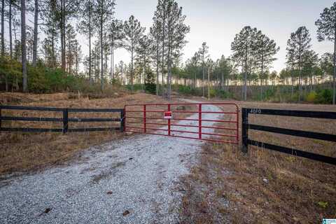 4090 COUNTY ROAD 62, GAYLESVILLE, AL 35973