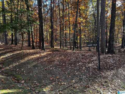1 CHERRY HILLS, BIRMINGHAM, AL 35242
