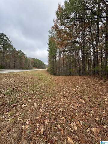 7 +/- acres HIGHWAY 431, WEDOWEE, AL 36278