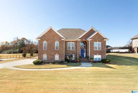 175 SMITHFIELD LANE, SPRINGVILLE, AL 35146