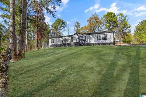 919 COUNTY ROAD 267, CLANTON, AL 35046