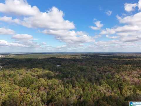 0 LIMESTONE DRIVE, CALERA, AL 35040