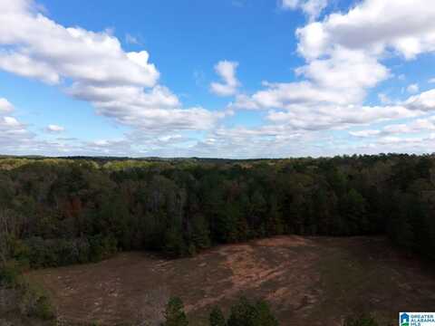 0 LIMESTONE DRIVE, CALERA, AL 35040