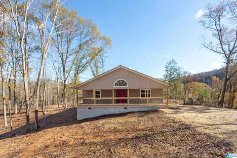 333 CHICKSAW TRAIL, OHATCHEE, AL 36271