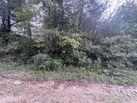 Lot 41 Canary Lane, Diamond City, AR 72630