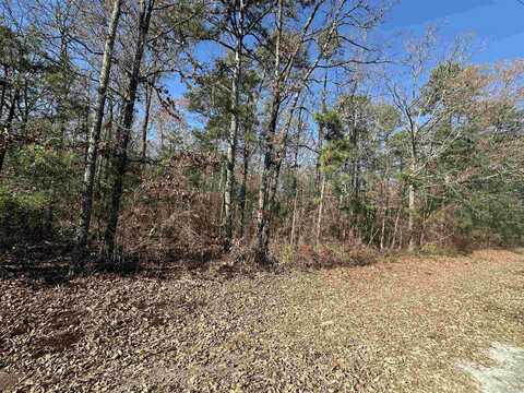 Lot 19 Woodland, Greers Ferry, AR 72067