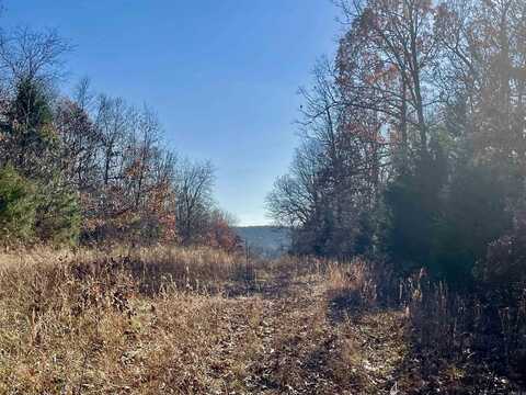 80+/- acres Lawrence Road 131 South, Black Rock, AR 72415