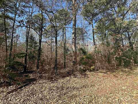 Lot 17 Woodland, Greers Ferry, AR 72067