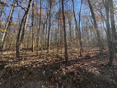 28 Acres County Road 917, Collinsville, AL 35961