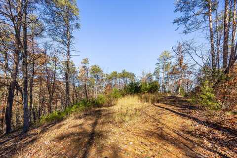 0 Powder Springs Circle, Flintstone, GA 30725