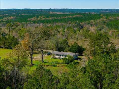 650 EDDIE MARTIN ROAD, BUENA VISTA, GA 31803