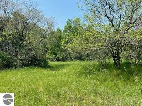 #4 LYNS COURT, WILLIAMSBURG, MI 49690