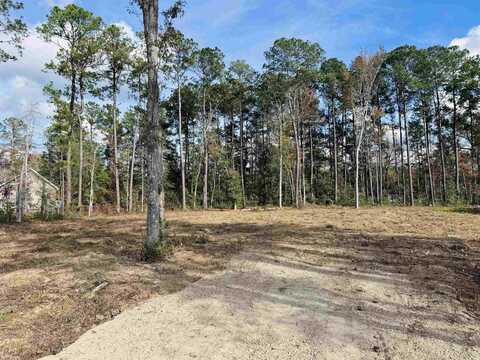 Lot 11 Leadwood St., Andrews, SC 29510