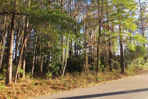 TBD Bethel Rd., Conway, SC 29526