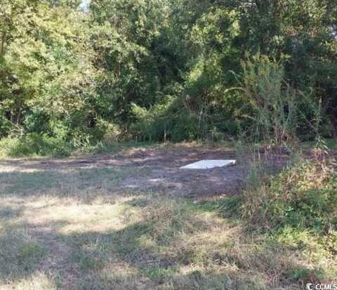 lot 1 Davis Lane, Mullins, SC 29574