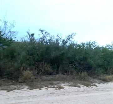 0 CR 205--22.22 acres(+/-), San Diego, TX 78384