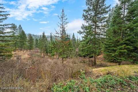 1604 S Saddleback Drive, Coeur D Alene, ID 83814