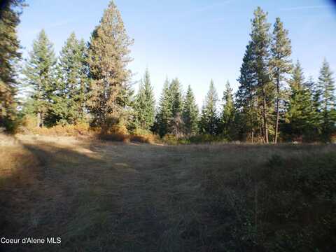 Mutch Creek Road (Parcel 5), Saint Maries, ID 83861