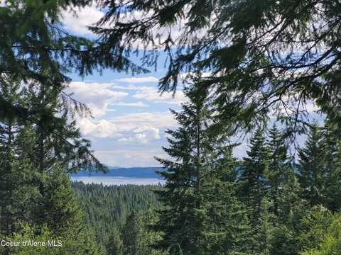 Nka S Skyview Rd, Harrison, ID 83833