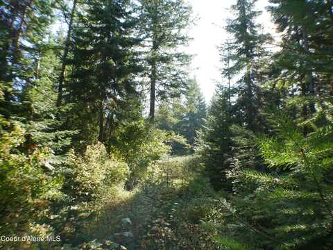 Mutch Creek Road (Parcel 4), Saint Maries, ID 83861