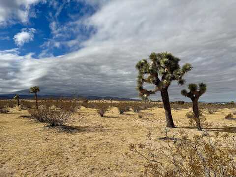 162 S Landers Lane, Yucca Valley, CA 92284