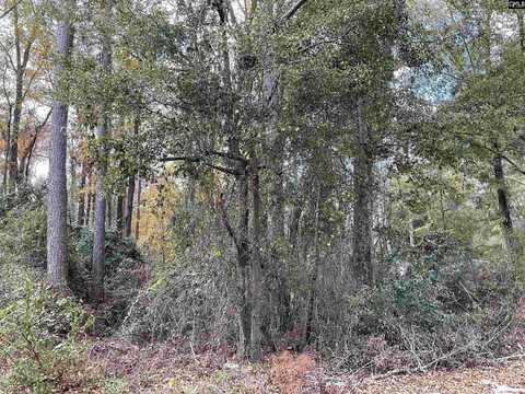 Lacey Street, Bamberg, SC 29003