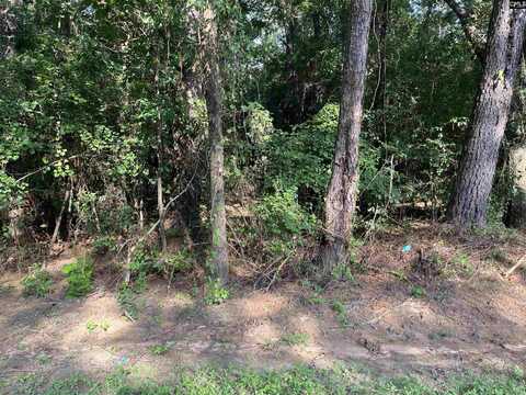TBD Parkwood Avenue 10, North, SC 29112