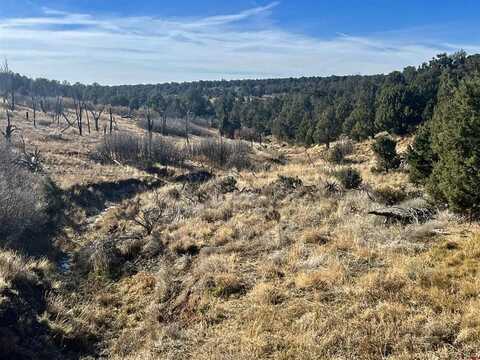 000 CR 116 Road, Hesperus, CO 81326