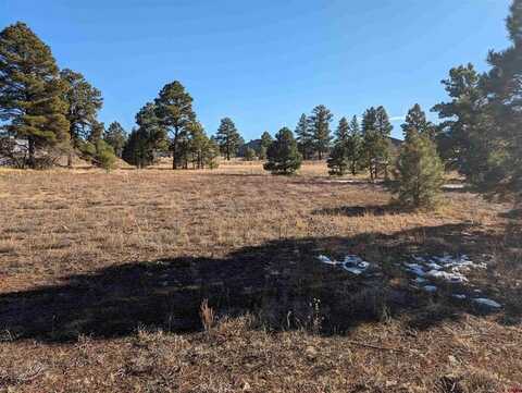 147 Park Avenue, Pagosa Springs, CO 81147