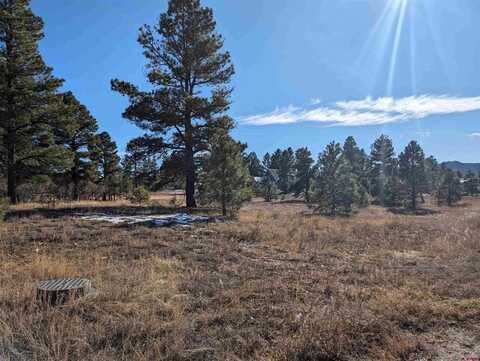 147 Park Avenue, Pagosa Springs, CO 81147