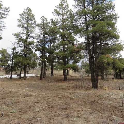 1084 County Rd 600, Pagosa Springs, CO 81147