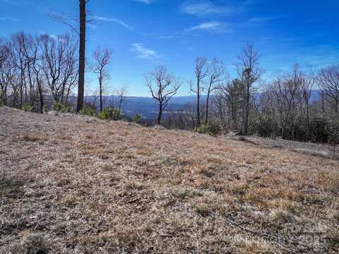 Lot #48 Mountain Grove Lane, Fletcher, NC 28732