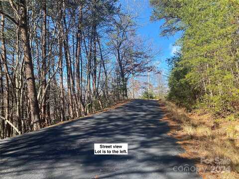 81 Lucerne Drive, Canton, NC 28716