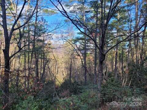 Deer Ridge Trail, Marion, NC 28752