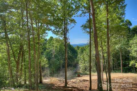 00 Pebble Ridge Road, Spruce Pine, NC 28777